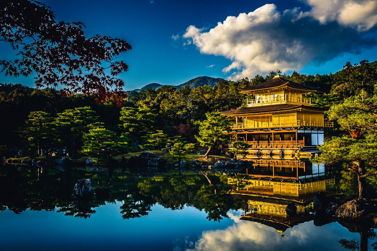 Japanese Garden